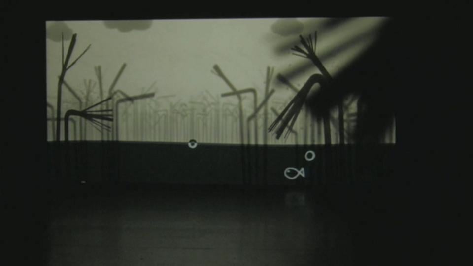 WoE!? - Projection Tests